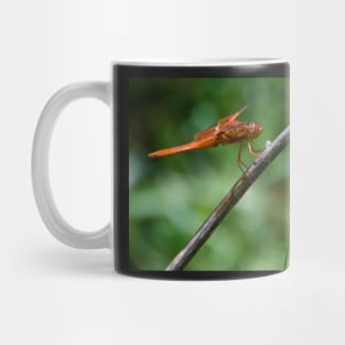 Dragonfly Mug